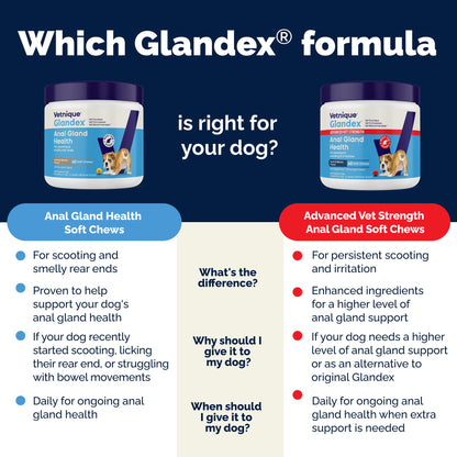 Glandex Anal Gland Soft Chew Treats with Pumpkin for Dogs Chews with Digestive Enzymes, Probiotics Fiber Supplement for Dogs – Vet Recommended - Boot The Scoot (Peanut Butter, 120ct Chews) 🍁 All In One Marketplace Canada