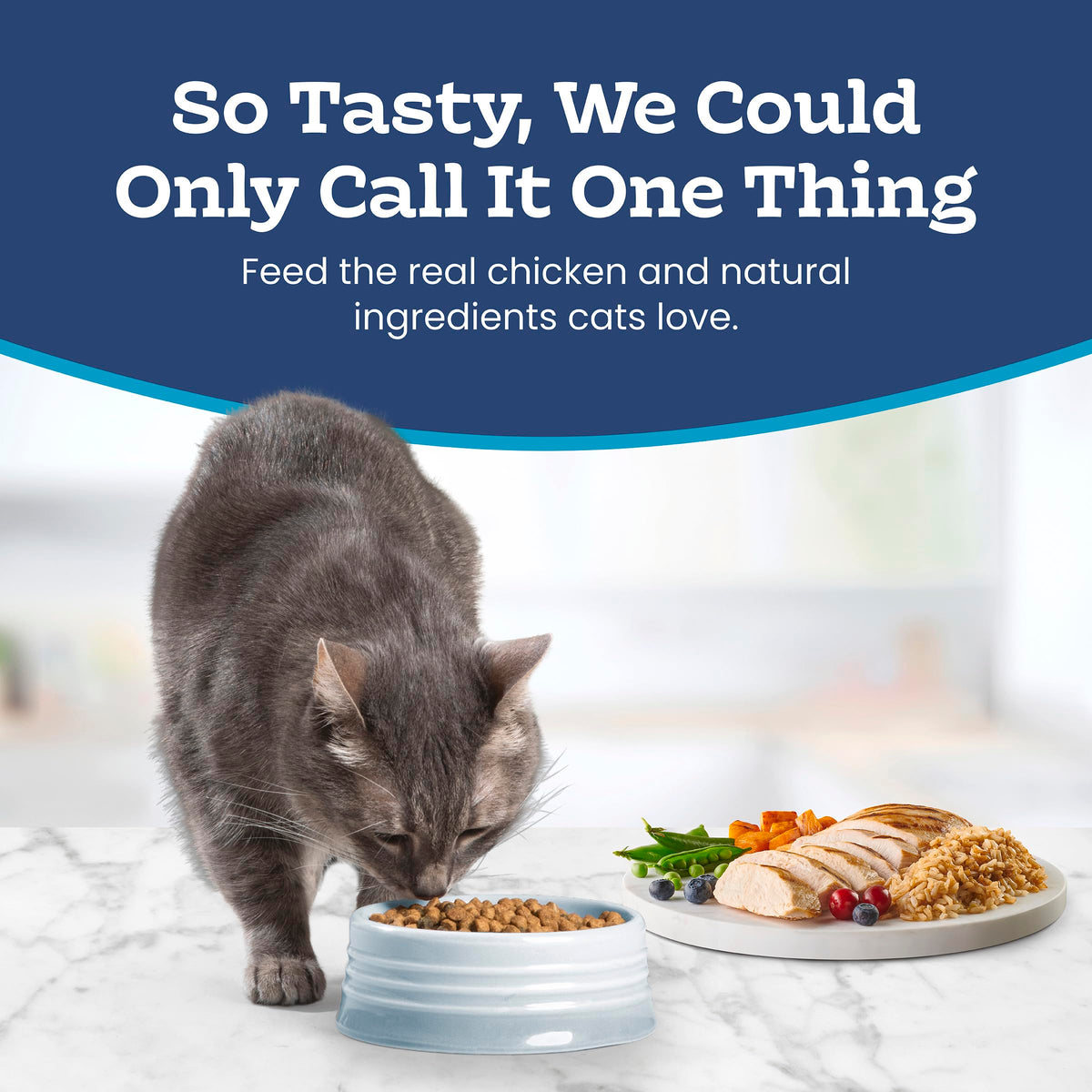 Blue Buffalo Tastefuls Chicken & Brown Rice Recipe Adult Dry Cat Food Weight Control, Real Chicken First, Deliciously Healthy Natural Cat Food, Supports Digestive Care and Coat Health, 15 lbs. 🍁 All In One Marketplace Canada