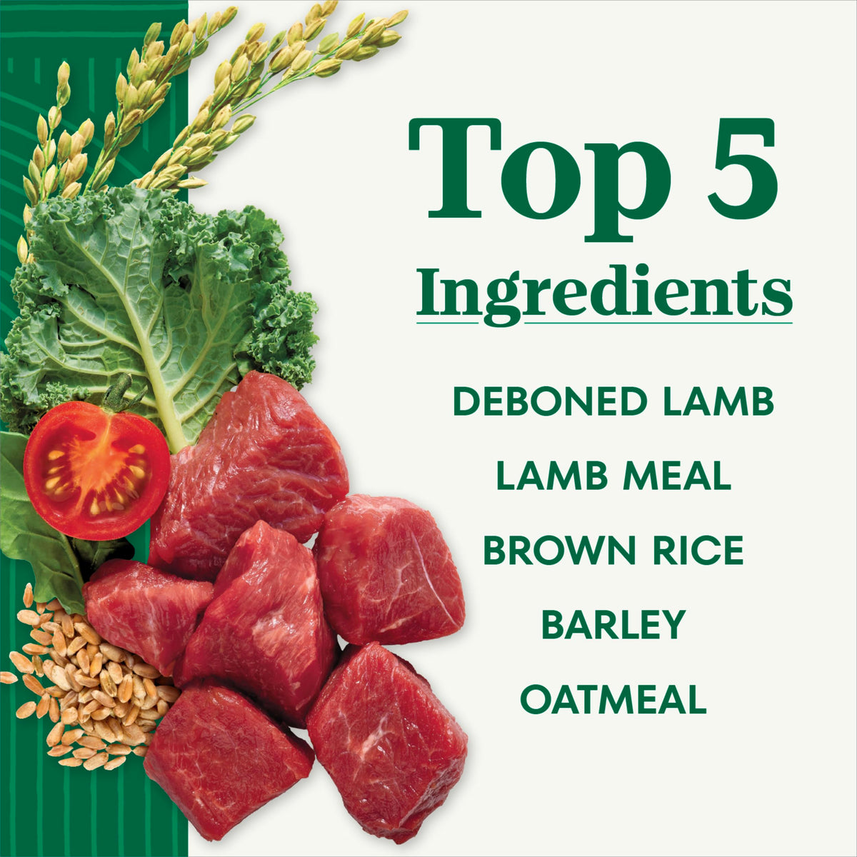 Nutro Natural Choice Adult Dry Dog Food, Lamb Flavour, 2.27kg 🍁 All In One Marketplace Canada