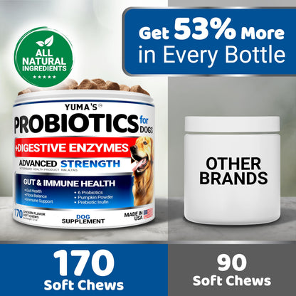 Probiotics for Dogs - 170 Chews - Helps Relieve Diarrhea, Gas & Allergies, Constipation - Dog Probiotics - Digestive & Immune Support - Prebiotics & Digestive Enzymes - Gut Health Chewable Supplement 🍁 All In One Marketplace Canada