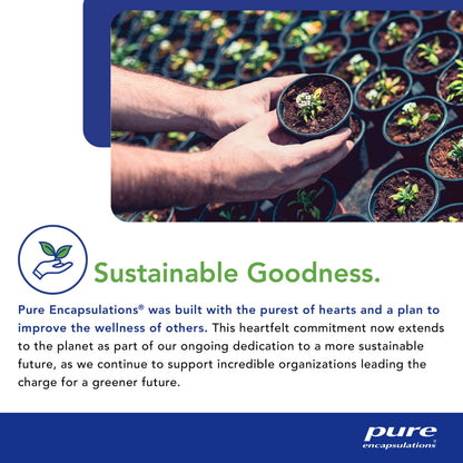 Pure Encapsulations Zinc 15 mg - Zinc Picolinate Supplement for Immune System Support - For Wound Healing - With Premium Zinc Picolinate - 180 Capsules 🍁 All In One Marketplace Canada