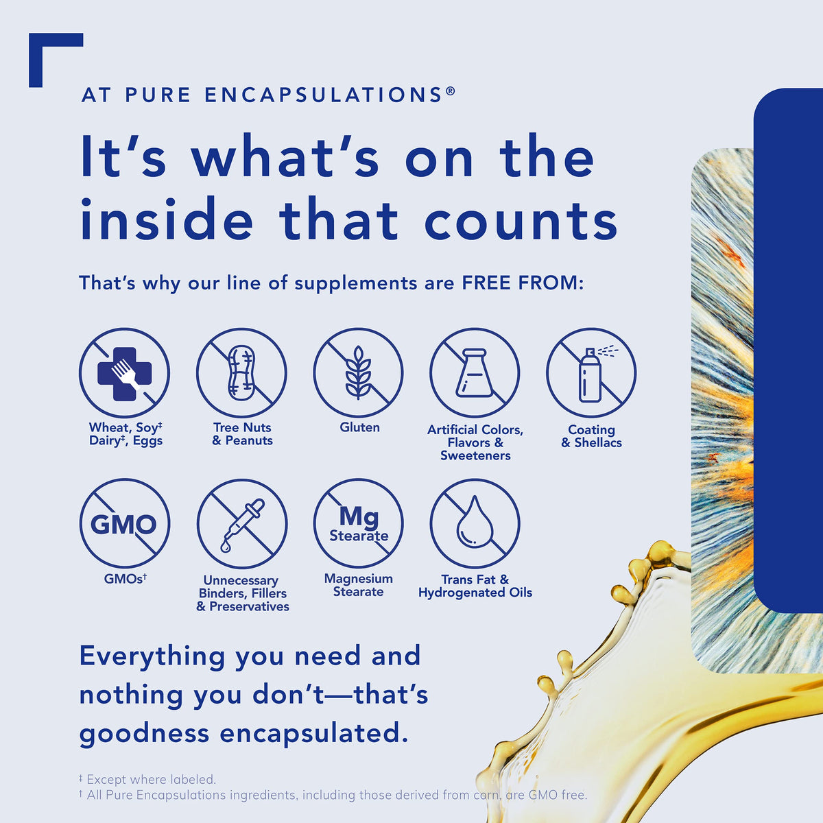 Pure Encapsulations B12 Liquid - B12 as Methylcobalamin - For Energy Metabolism & Red Blood Cell Formation - Liquid Drops - 30 mL 🍁 All In One Marketplace Canada