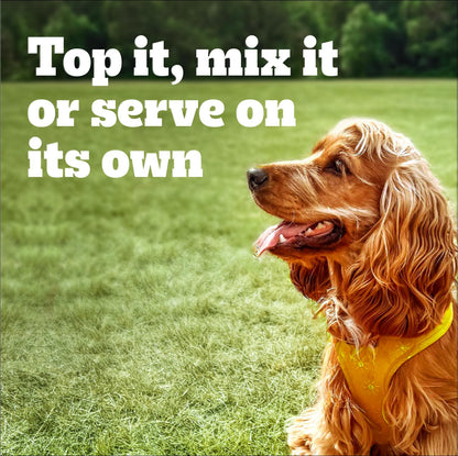 PEDIGREE Choice CUTS Adult Wet Dog Food, Real Beef Flavour, 630g (12 Pack) 🍁 All In One Marketplace Canada