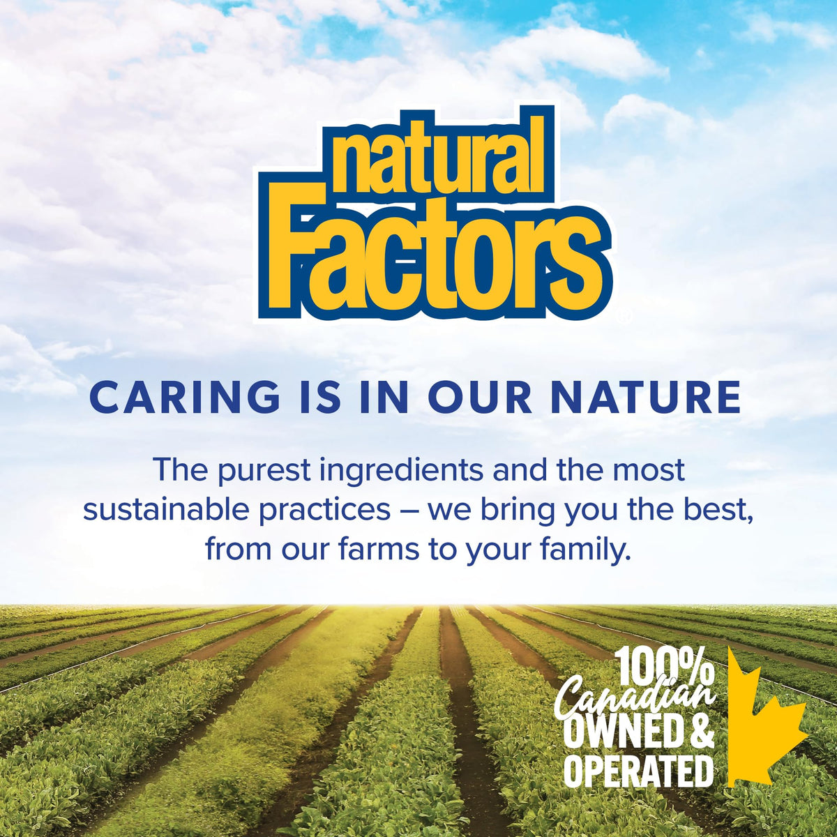 Natural Factors Stress-Relax Saffron Extract 28 mg, 60 DAY SUPPLY, 100% Pure, 60 Veg Caps, Improves Mood, Relieves Stress & Supports Relaxation, Proudly Canadian 🍁 All In One Marketplace Canada