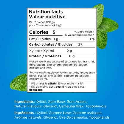 PUR Gum | Aspartame Free Chewing Gum | 100% Xylitol | Natural Peppermint Flavoured Gum, 55 Pieces (Pack of 6) 🍁 All In One Marketplace Canada
