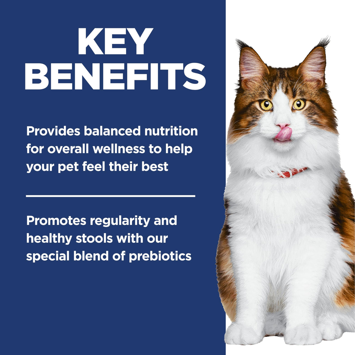 Hill's Science Diet Adult Perfect Digestion Salmon, Brown Rice & Whole Oats Recipe Dry Cat Food 1.58 kg Bag 🍁 All In One Marketplace Canada