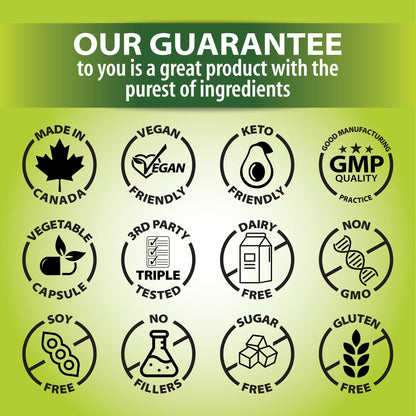 GNA Naturals - Bamboo Silica with Biotin 10,000mcg, 90 v-caps - A Supplement for Radiant Hair, Skin and Nails - Silica Supplement for Hair, Nail, Joint Care and Skin Vitality - Made in Canada 🍁 All In One Marketplace Canada