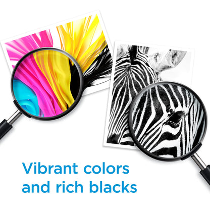 HP 902 | 3 Ink Cartridges | Cyan, Magenta, Yellow | Works with HP OfficeJet 6900 Series, HP OfficeJet Pro 6900 Series | T6L86AN, T6L90AN, T6L94AN 🍁 All In One Marketplace Canada