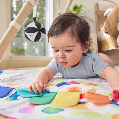 The Play Gym by Lovevery 🍁 All In One Marketplace Canada