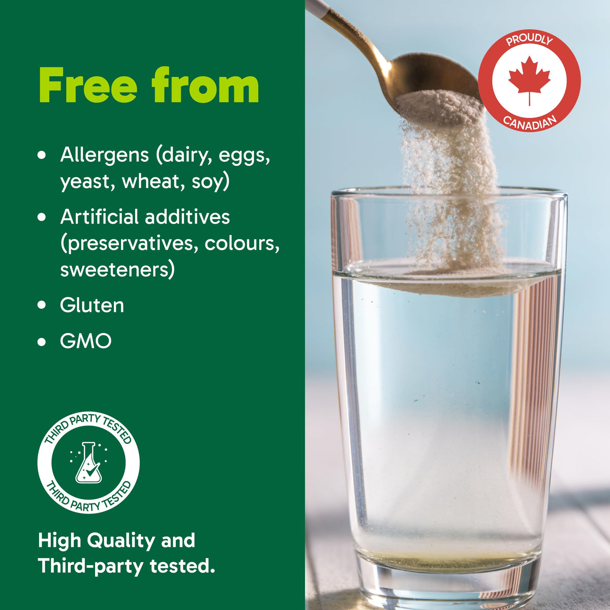Organika Canadian-Made Belli Bliss Fibre | High Fibre Blend, 4 Diverse Sources of Fibre | Supports Digestive Health, Constipation Relief, Weight Control - Raspberry, 450g 🍁 All In One Marketplace Canada