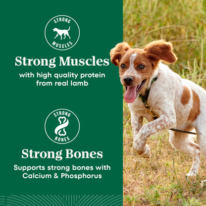 Nutro Natural Choice Adult Dry Dog Food, Lamb Flavour, 2.27kg 🍁 All In One Marketplace Canada