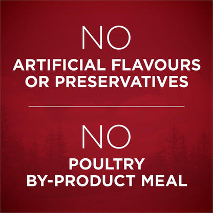 Purina ONE True Instinct High Protein Dry Dog Food, Turkey & Venison - 12.4 kg Bag (1 Pack) 🍁 All In One Marketplace Canada