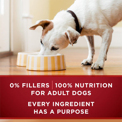 Purina ONE True Instinct Wet Dog Food, Tender Cuts Variety Pack (12 Pack) 🍁 All In One Marketplace Canada