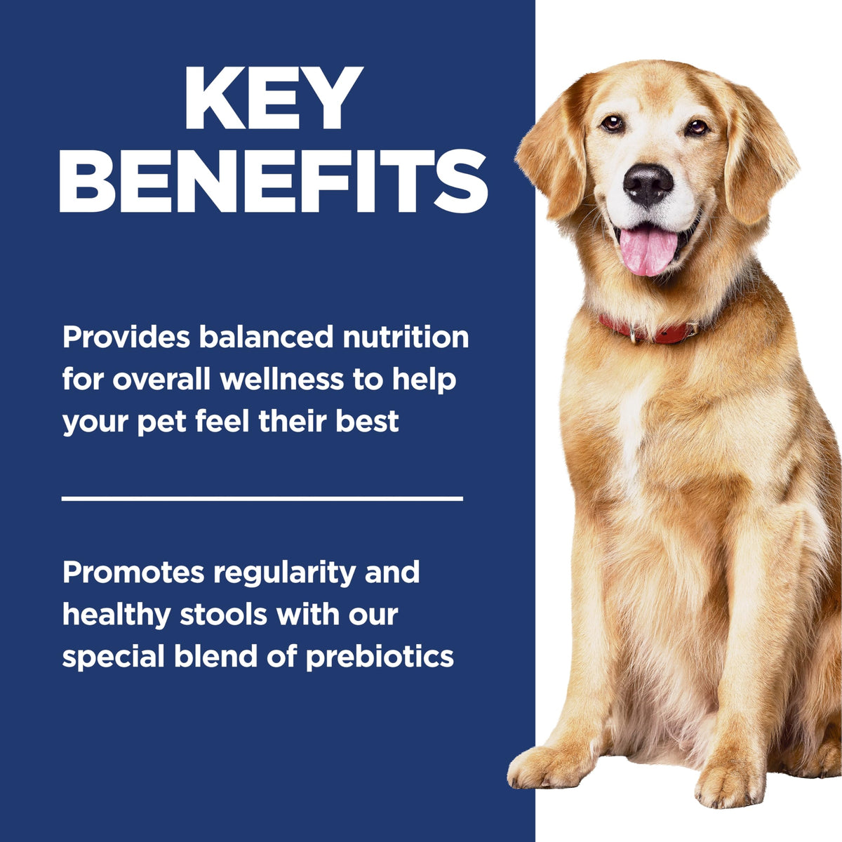 Hill's Science Diet Adult 7+ Perfect Digestion Chicken, Whole Oats & Brown Rice Recipe Dry Dog Food 10.0 kg Bag 🍁 All In One Marketplace Canada