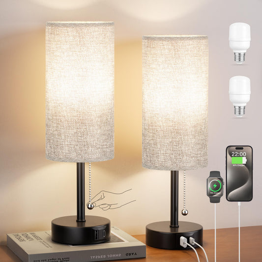 Grey Bedside Lamp for Bedroom Set of 2 - Nightstand Table Lamp with USB A + C Charging Port, 3 Color Temperatures Pull Chain Night Stand Light with Bulb, Side Table Desk Reading Lamp for Living Room 🍁 All In One Marketplace Canada