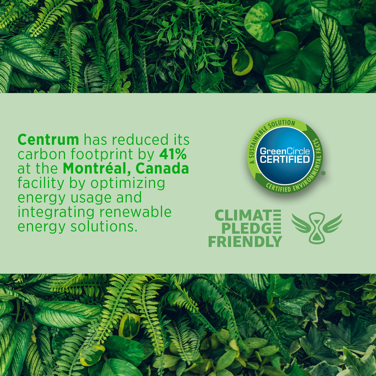 Centrum Prenatal Multivitamins/Minerals with Folic Acid and DHA Multivitamins Supplement with Omega 3, 60 Prenatal Tablets & 60 DHA Softgels (120 Total Count) (Packaging May Vary) 🍁 All In One Marketplace Canada