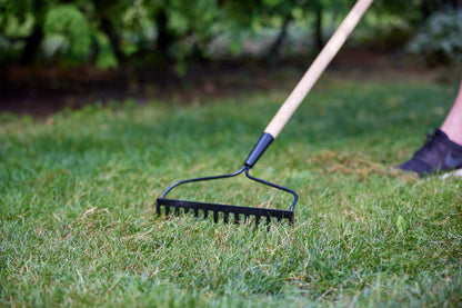 Scotts Turf Builder Grass Seed All Purpose Mix, 1Kg (246 sq Meters / (2,648 sq feet Coverage) | Sun & Shade Formula for a Thick, Green Lawn 🍁 All In One Marketplace Canada