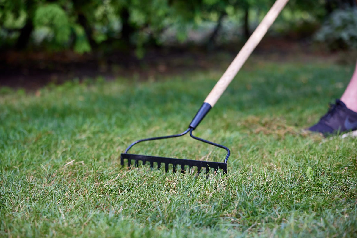 Scotts Turf Builder Grass Seed Sunny Areas Mix, 1kg (246 sq Meters / 2,648 sq feet Coverage) | Formula for overseeding or Growing a new, Thick Lawn in Sunny Areas 🍁 All In One Marketplace Canada