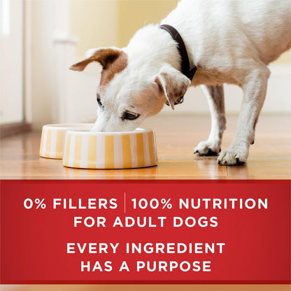 Purina ONE Wet Dog Food, Tender Cuts in Gravy Lamb & Rice 368g (12 Pack) 🍁 All In One Marketplace Canada