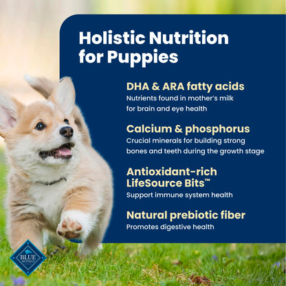 Blue Buffalo Life Protection Formula Puppy Dry Dog Food, Chicken & Brown Rice,11.7 Kg/26 lbs 🍁 All In One Marketplace Canada