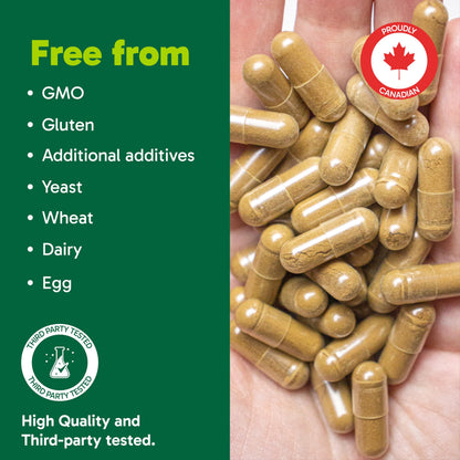 Organika Canadian-Made Ashwagandha- Stress Relief, Sleep Aid, Mood Enhancement, Thyroid and Blood Sugar Balance- 60 vcaps 🍁 All In One Marketplace Canada