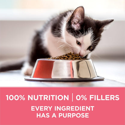 Purina ONE +Plus Dry Kitten Food, Healthy Kitten with Chicken 3kg 🍁 All In One Marketplace Canada