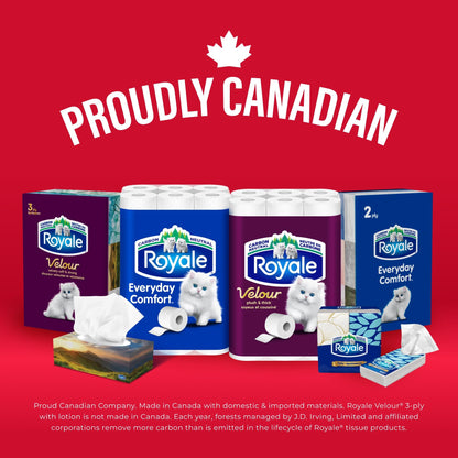 Royale Everyday Comfort 2 Ply Facial Tissue, 24 Tissue Boxes, 100 Tissues per Box 🍁 All In One Marketplace Canada