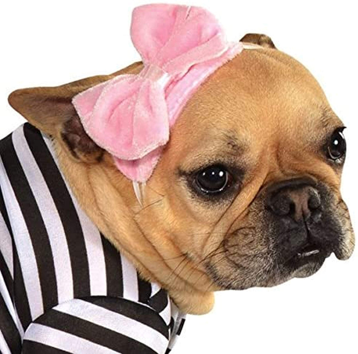 Rubies Costume Co Halloween Classics Collection Pet Costume, Large, 50s Girl Dress