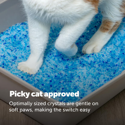 PetSafe ScoopFree Premium Fresh Crystal Cat Litter, 3-Pack – Lightly Scented Litter – Superior Odor Control – Low Tracking for Less Mess – Lasts Up to 6 Months, 24 lbs Total (3 Pack of 8 lb Bags) 🍁 All In One Marketplace Canada