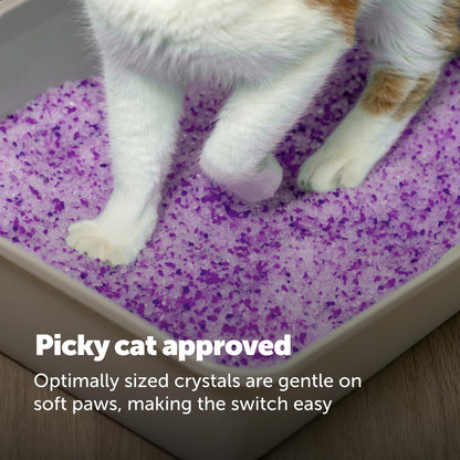 ScoopFree Premium Lavender Scent Crystal Litter, Superior Odor Control, Absorbs 5X Faster, Low Tracking for Less Mess, Lasts up to 2 Months, Lightly Scented (8 lb Bag) 🍁 All In One Marketplace Canada