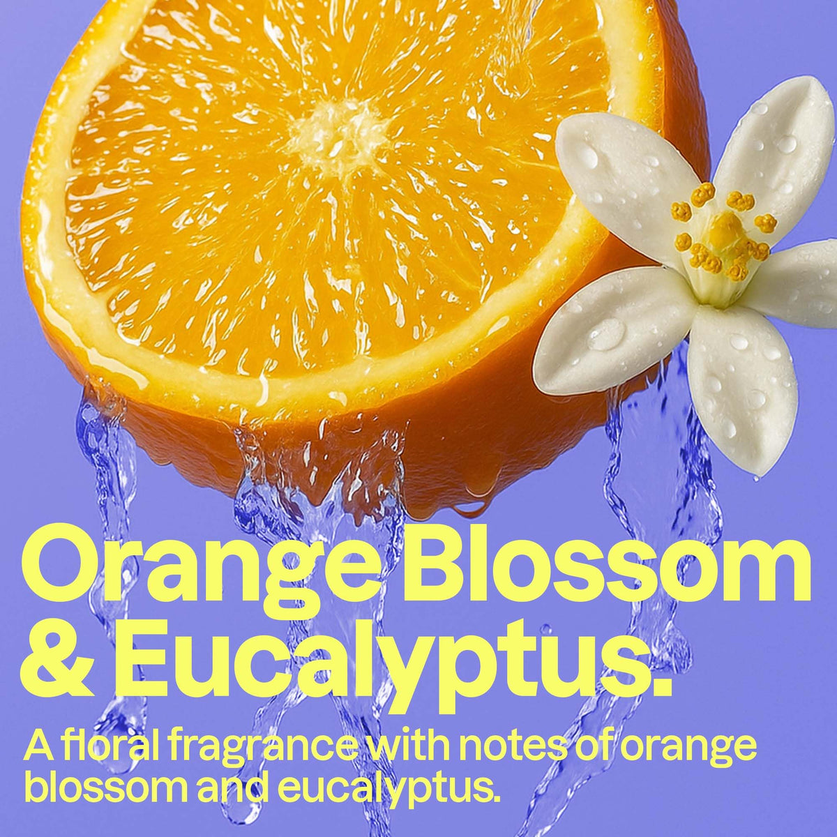 ATTITUDE Liquid Hand Soap, EWG Verified, Plant and Mineral-Based, Vegan Personal Care Products, Orange Blossom & Eucalyptus Scent, 473 mL (Pack of 3) 🍁 All In One Marketplace Canada