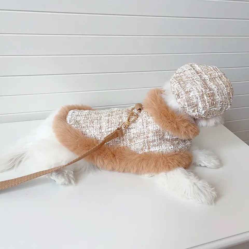Dog Harness Hat & Leash Set | Cappuccino Tweed Dog Walking Set