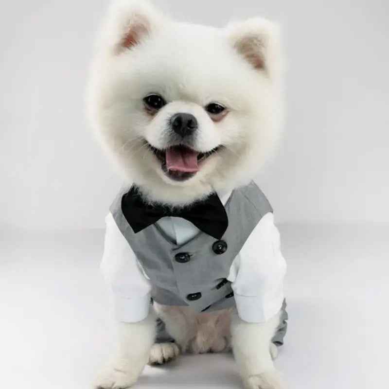 Distinguished Gentleman Two-Piece Dog Suit | Formal Dog Outfit Set