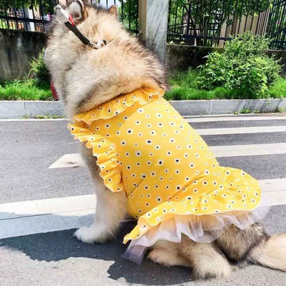 Daisy Spring Dress – Floral Luxury Dog Dress for Large Breeds