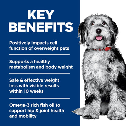 Hill's Science Diet Adult Perfect Weight & Joint Support Chicken Recipe Dry Dog Food 11.34 kg Bag 🍁 All In One Marketplace Canada