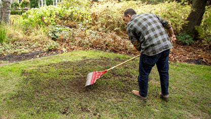 Scotts Turf Builder Quick + Thick Grass Seed (Sun and Shade Mix), 2.8kg (403 sq Meters / 4,347 sq feet Coverage) | Grow a Thick, Green Lawn Fast. for Areas That Experience Sun & Shade 🍁 All In One Marketplace Canada