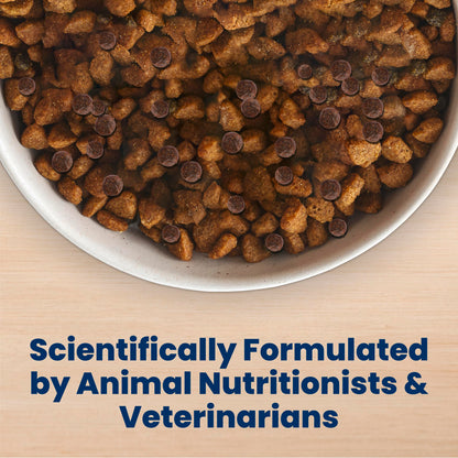 Blue Buffalo Life Protection Formula Chicken & Brown Rice Adult Dry Dog Food, Supports Immunity with Antioxidant-Rich LifeSource Bits, Promotes Healthy Muscle Development, 2.7kg/6lbs 🍁 All In One Marketplace Canada