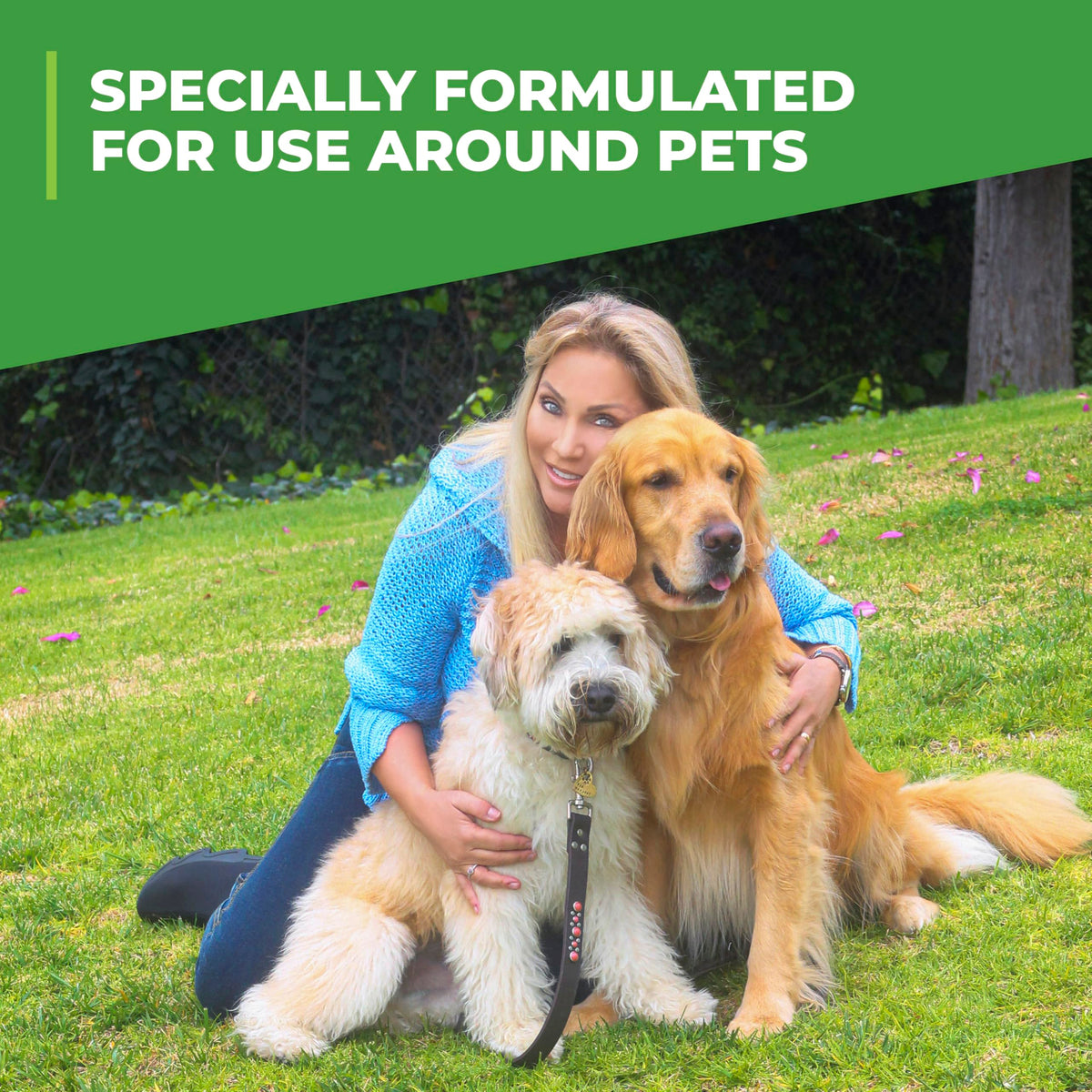 Simple Green Outdoor Odor Eliminator for Pets, Dogs, 1 Gallon Refill - Ideal for Artificial Lawns & Patio, Milky White 🍁 All In One Marketplace Canada