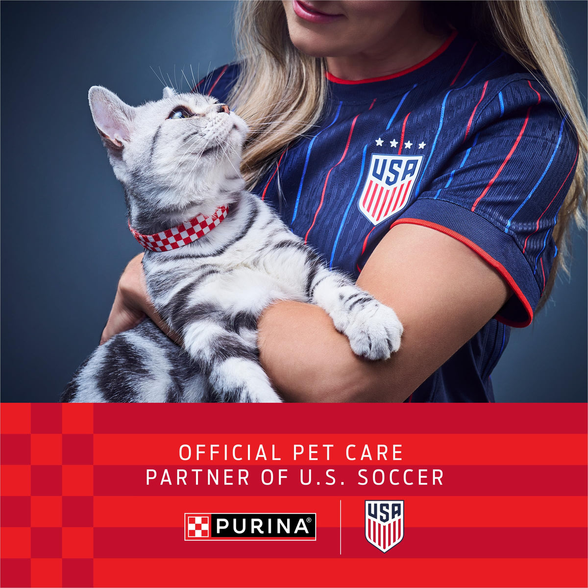 Purina Pro Plan Sensitive Skin & Stomach Dry Cat Food, Lamb & Rice - 3.18 kg Bag 🍁 All In One Marketplace Canada