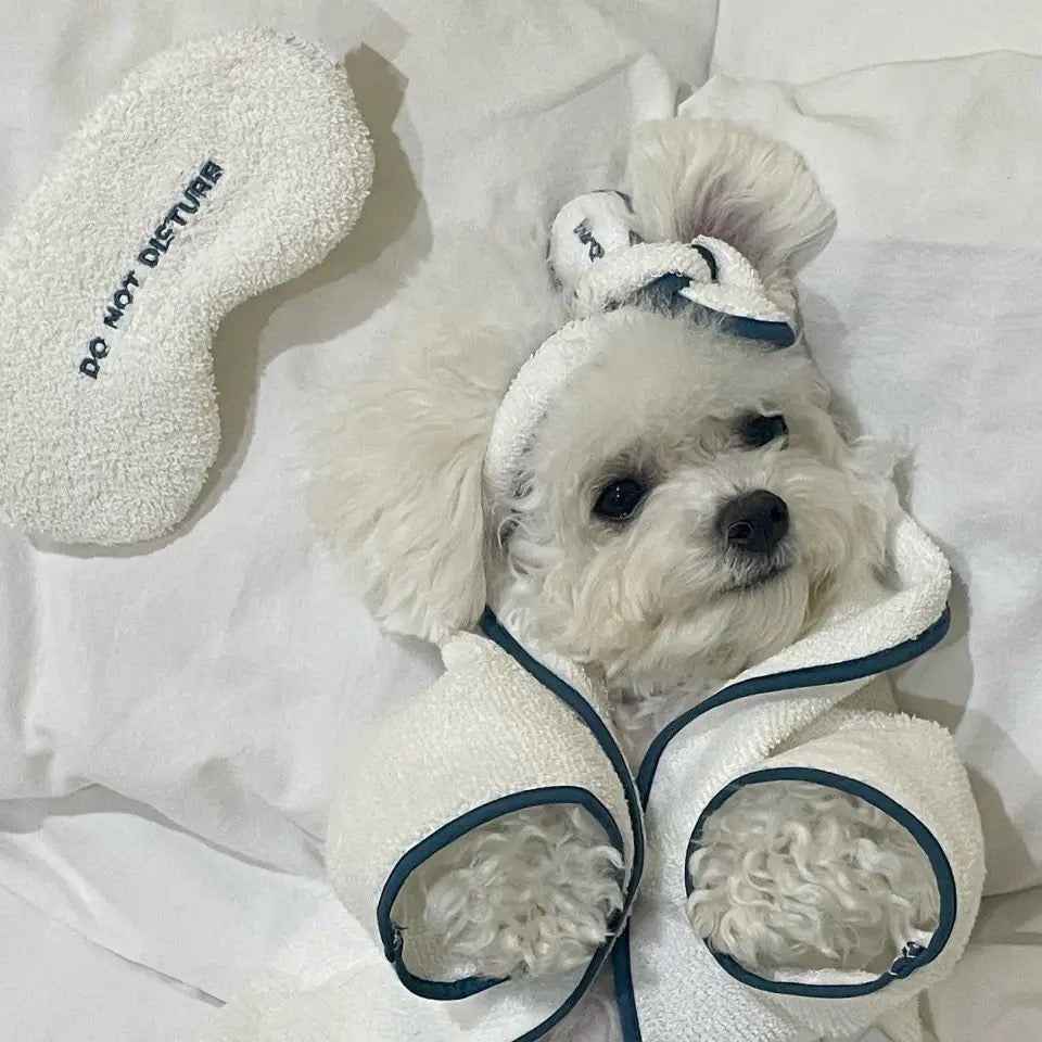 Dog Robe Set | Do Not Disturb Dog Robe with Toy