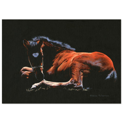 TOUCHED BY THE LIGHT fine art print