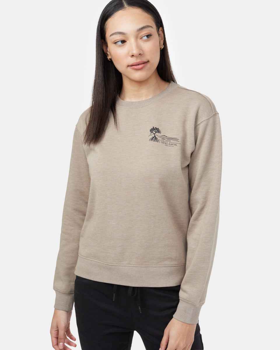 Madagascar Mangrove Crew