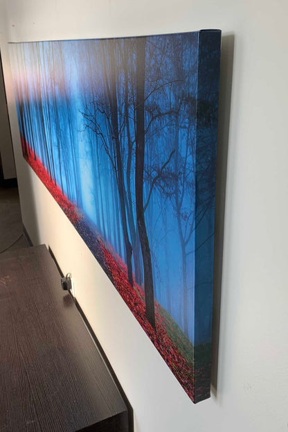 Leinwandbild - Blaue Nebelbäume - Wandkunst