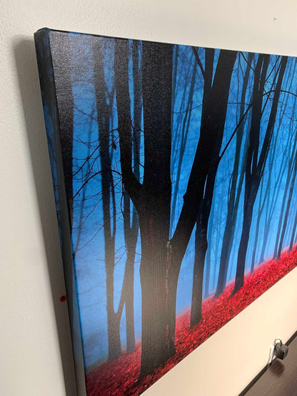 Leinwandbild - Blaue Nebelbäume - Wandkunst