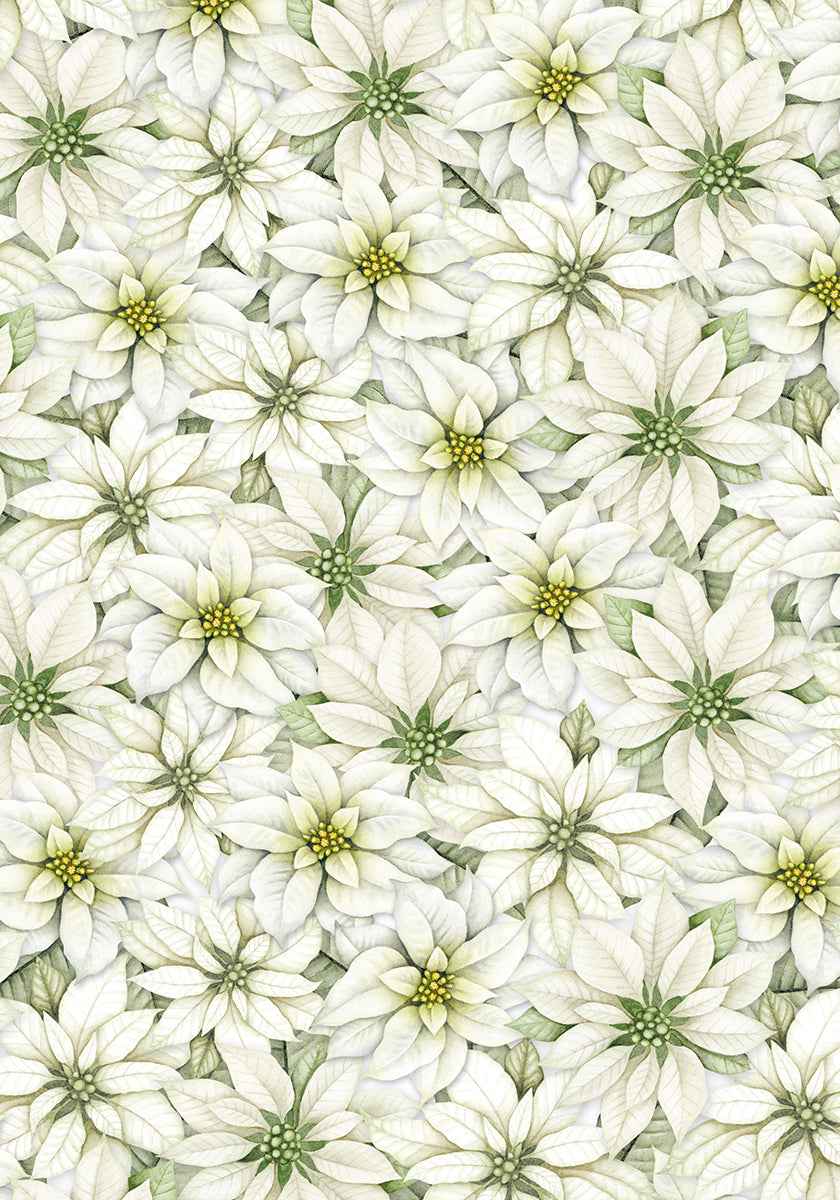 Ciao Bella Vellum Sparkling Christmas Paper Patterns A4 6/Pkg