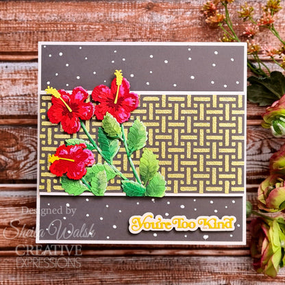 Creative Expressions Sue Wilson Mini Shadowed Sentiments You're Too Kind Craft Die
