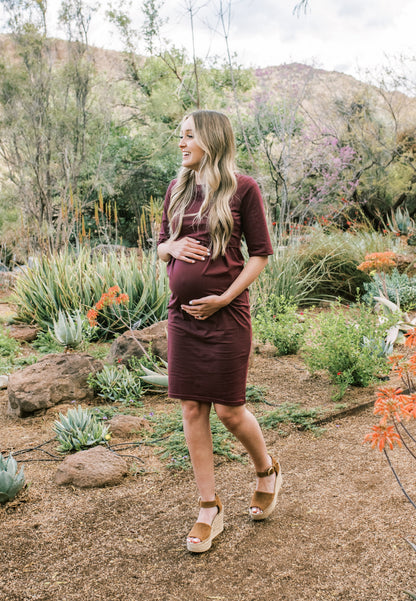 Jackie Maternity & Nursing Dress