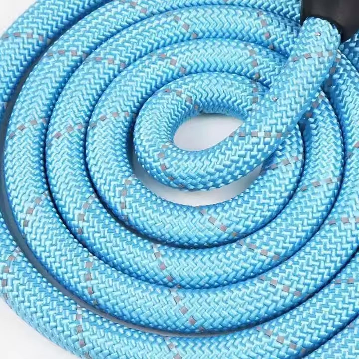 Reflective Dog Leash for Night Walks