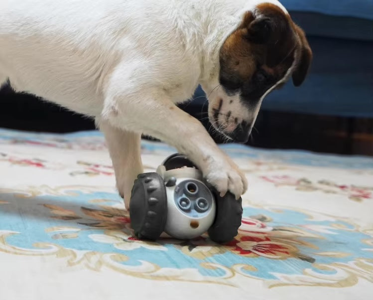Robot Slow Feeder & Treat Dispenser Toy for Dogs & Cats
