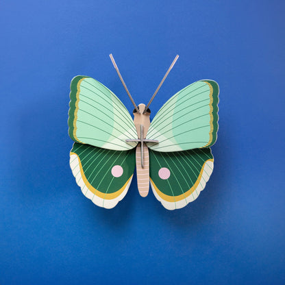 Fern Striped Butterfly